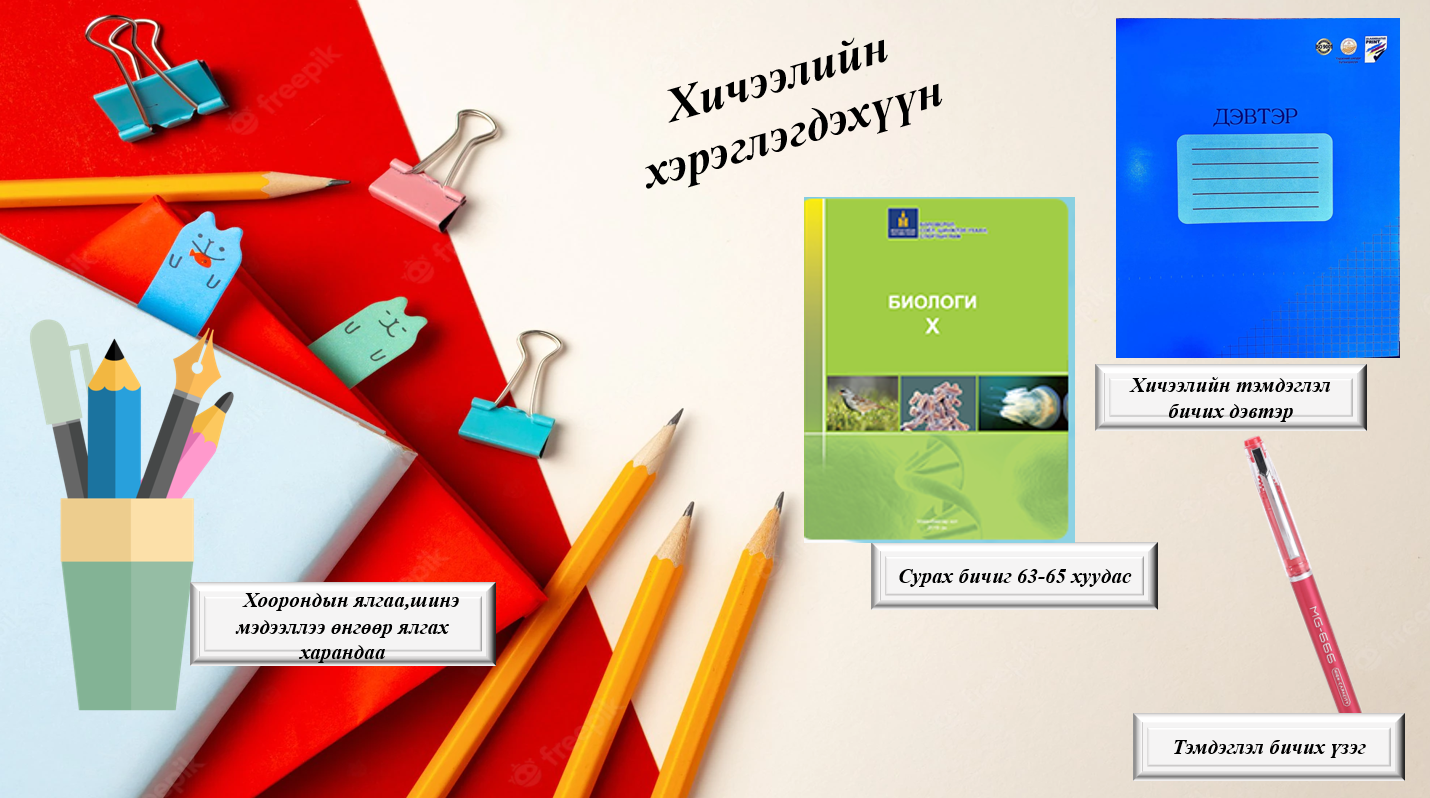 Мэдлээ | Цахим контент